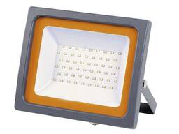 Прожектор светодиодный PFL-SC-SMD-30Вт 30Вт IP65 6500К мат.