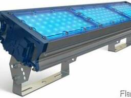 Прожекторное освещение TL-PROM 150 PR PLUS FL Blue