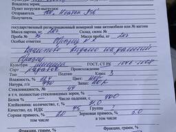 Пшеница