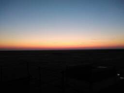 Пшеница 3 класса