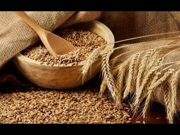 Пшеница 4 класс