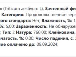 Пшеница мягких и твердых сортов от СХТП