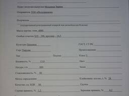 Пшеница твердая