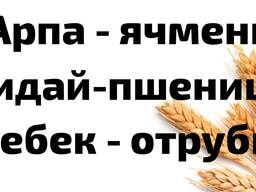 Пшеница, ячмень, отруби