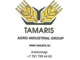 Пшеница, ячмень, овёс, горох, лён, горчица, чечевица