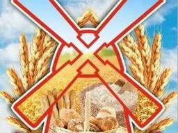 Пшеницу/зерно