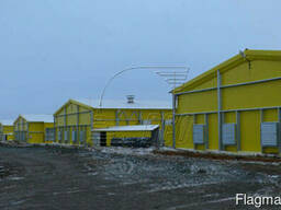 Птицекомплексы