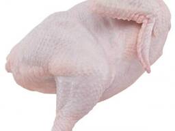 Quality Halal Frozen Whole chicken