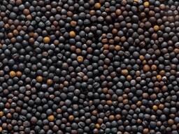 Рапс: Клеопатра, Яркий, 55 Регион