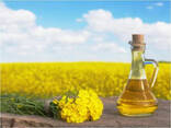 Рапсовое масло - фото 2