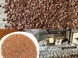 Реализация пшеница, ячмень, лен, сафлор, зерноотходы, отруби ( кебек) пшеничные, фасовка - фото 2