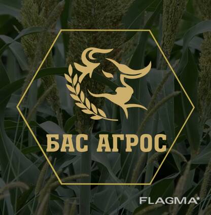Реализуем Семена кормовых трав