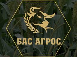 Реализуем Семена кормовых трав