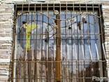 Решетки для окон - фото 2