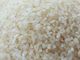 Рис Элита Акмаржан