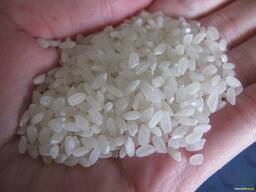 Рис оптом.