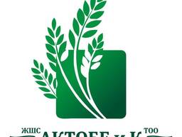 Рис оптом и в розницу