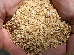 Рисовая шелуха