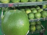 Розовое Помело - photo 2
