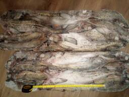 Рыба Минтай