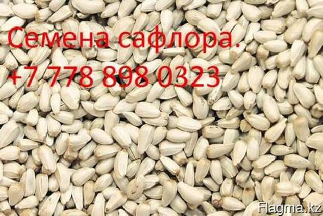 Сафлор