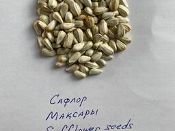 Сафлор, семена сафлора, максары, safflower seed, 2023