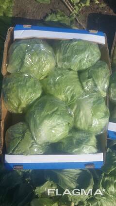 Салат Айсберг