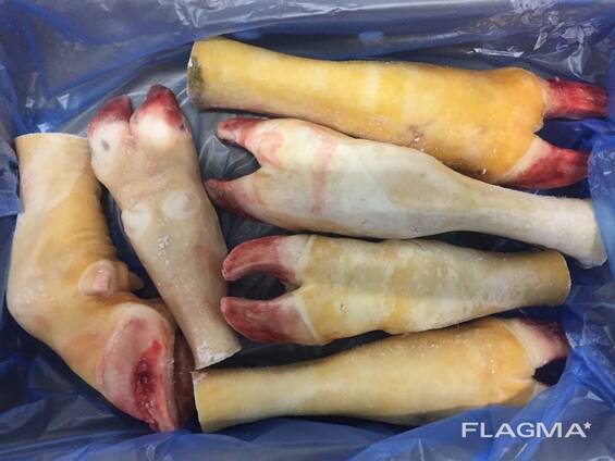 Scar. Putty joint. Tail. Aorta. Head trimming. Aperture.