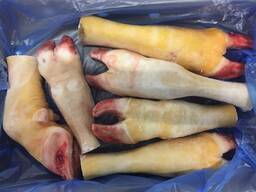 Scar. Putty joint. Tail. Aorta. Head trimming. Aperture.