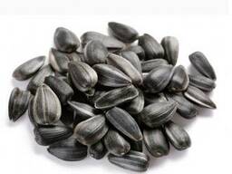 Семечка масличная