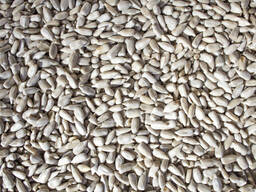 Семечки очищенные (ядро подсолнечника)