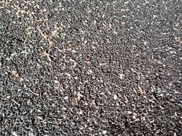 Семечки подсолнечника