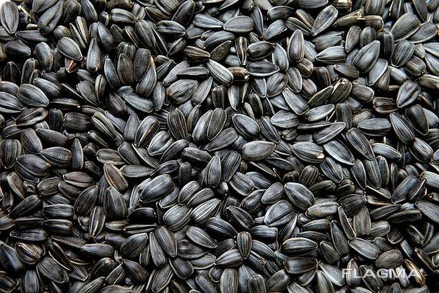 Семена подсолнечника