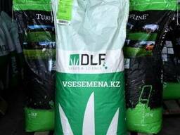 Семена газонной травы Playground (15 кг)