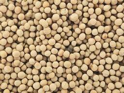 Семена гороха