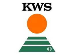 Семена Кукурузы КВС КОРИФЕЙ