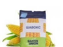 Семена кукурузы «Saaten-Union GmbH», Германия