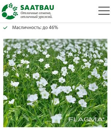 Семена Льна Абакус