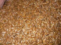 Семена льна Канадской селекции