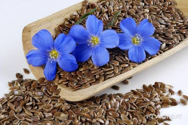 Семена Льна масличного