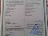 Семена люцерны (жоңышка) - photo 5