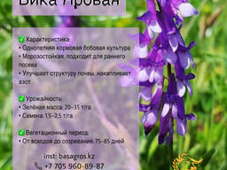 Семена: Пшеница, Ячмень, Горох. Травы: Донник, Житняк, Эспарцет, Суданка, Вика