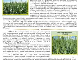 Семена пшеницы озимой