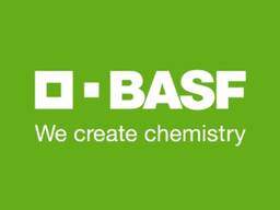Семена рапса BASF БРАНДЕР