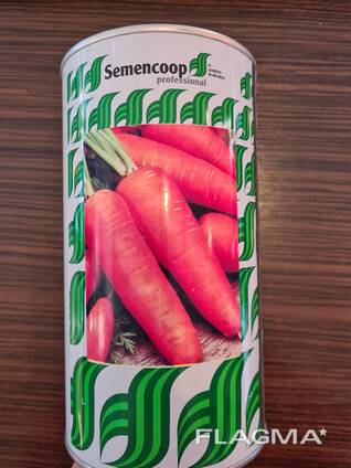Семена сортовой моркови Курода Новая