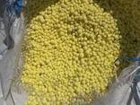 Сера комовая и гранула экспорт / Sulphur lump Granule export - photo 2