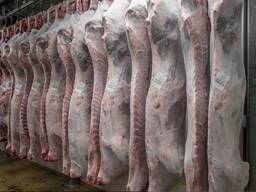 Сетка STOCKINETTES белая 30/140 ХЭВИ