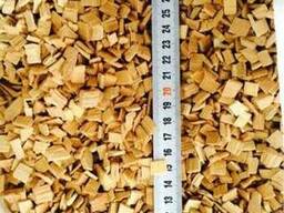 Щепа буковая