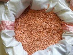 Шлифованная чечевица ТМ "Алтын Дала" от производителя!!!