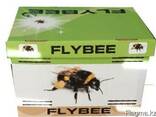 Шмель для опыления растений Flybee - фото 2